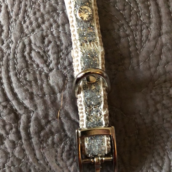 Dog collar silver - Picture 2 of 6